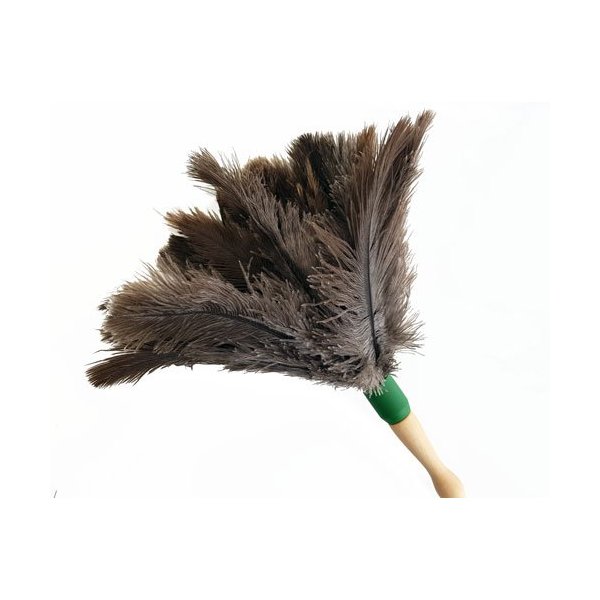 Plumero atrapapolvo mango corto. 100% pluma de avestruz. Pack 5 uds Plumero atrapapolvo mango corto. 100% pluma de avestruz. Pack 5 uds
