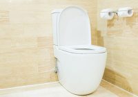 cómo limpiar un wc químico