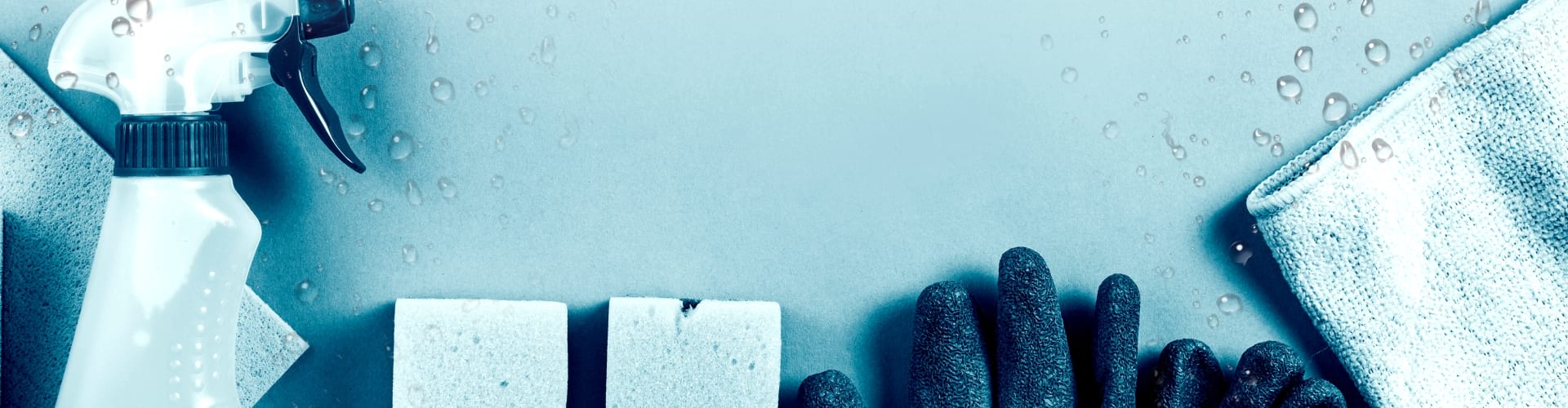 banner clim